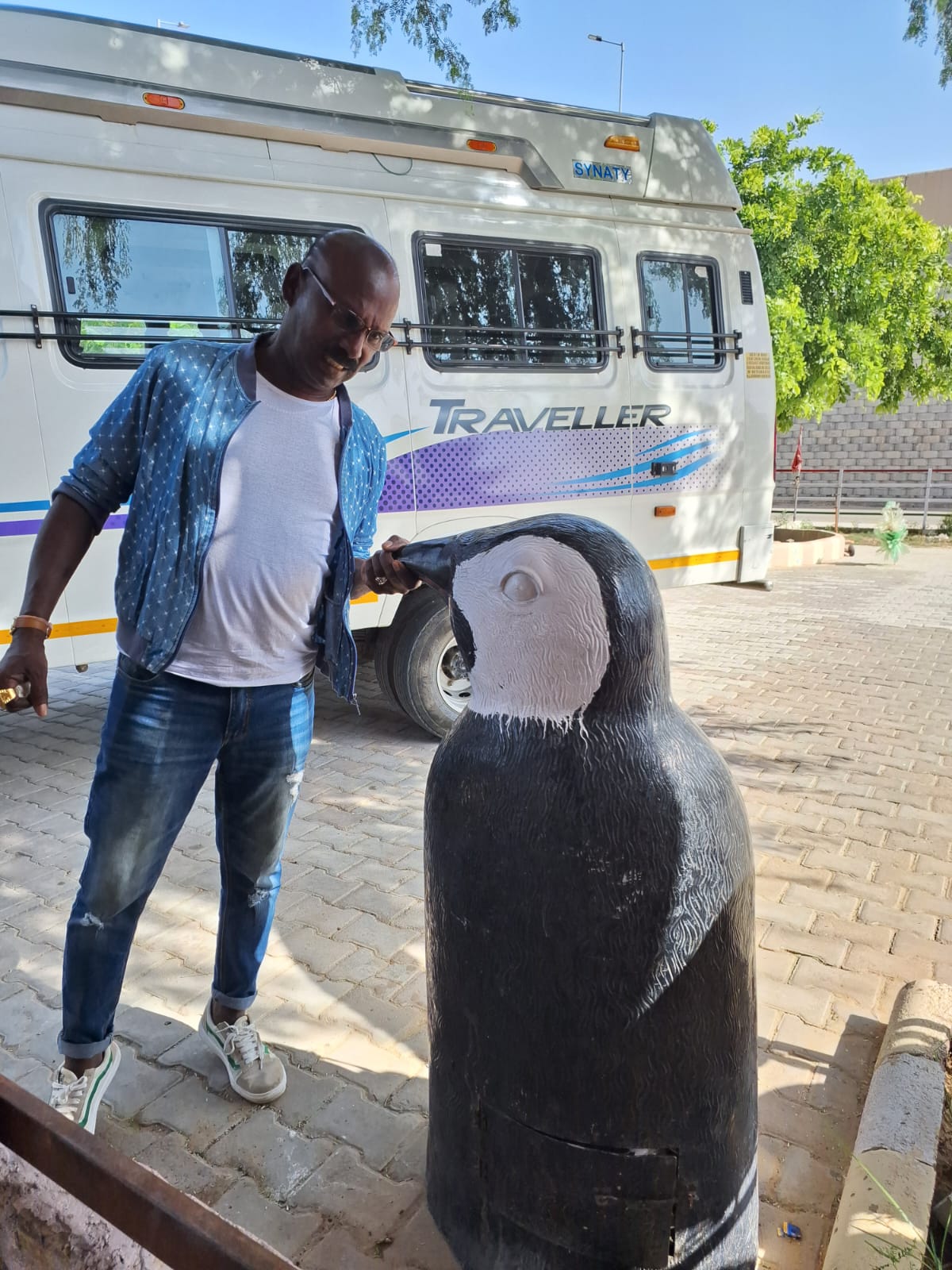 Himalayan Mountain Views